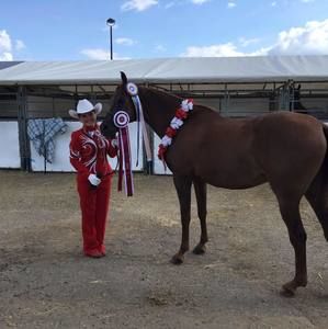 Meet your Posher, Grace